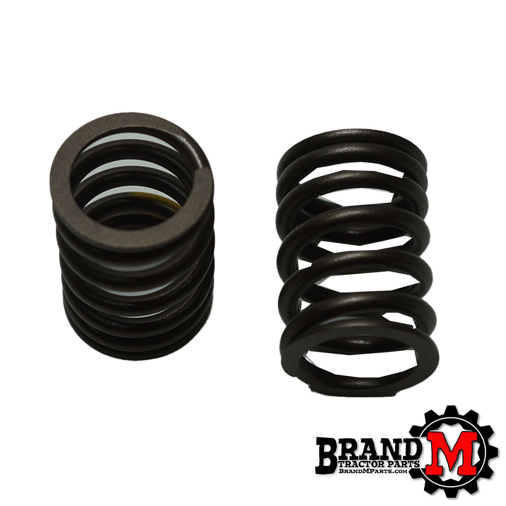 Valve Spring (each)