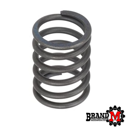 Valve Spring (Each)