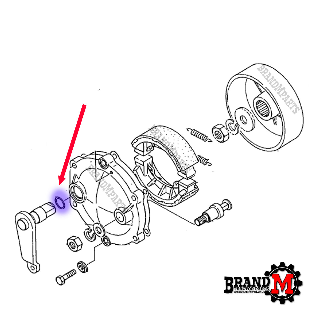 Brake Cam Oring (each)